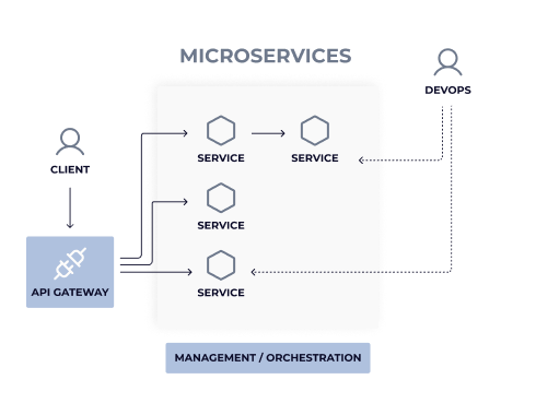 full-stack-web-development-microservices-architecture-desktop-idea-theorem